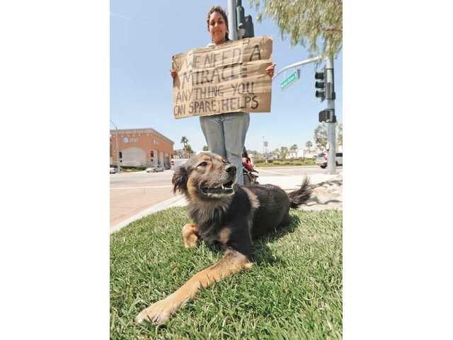Homeless couple in search of a miracle