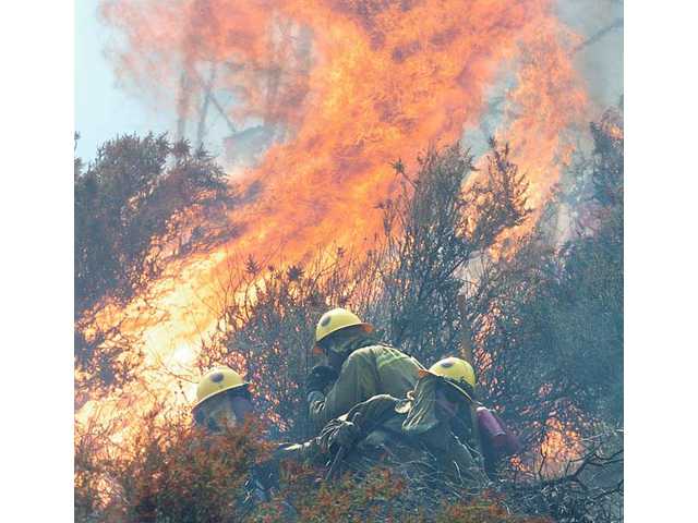 On the watch for wildfires