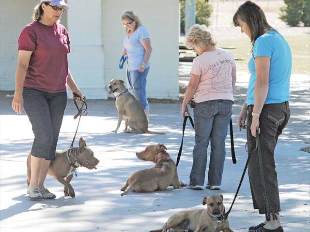 Class makes canine citizens