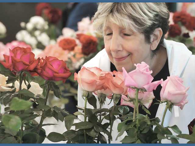 A rose by any other name...