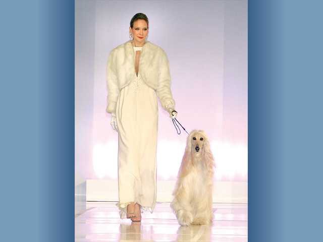 Philanthropy is fashionable
