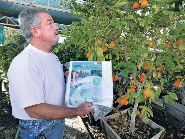 Winter gardening and landscaping