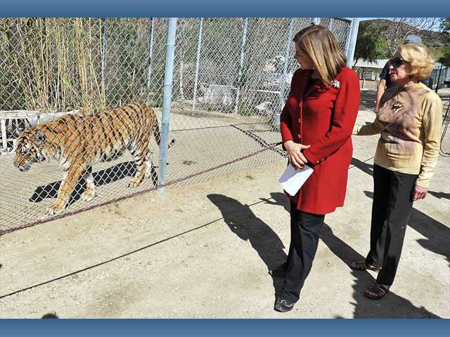 Paws to reflect on proposed legislation