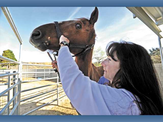 A home for horses, too
