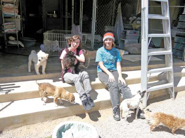 A spring break of barks