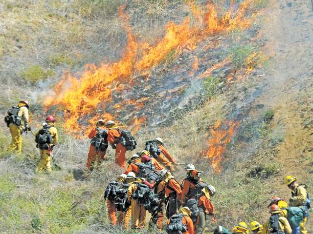 Training: Firefighters new to their positions gather in Castaic for drill