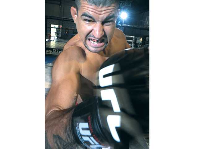 Mixed martial arts: The ultimate goal