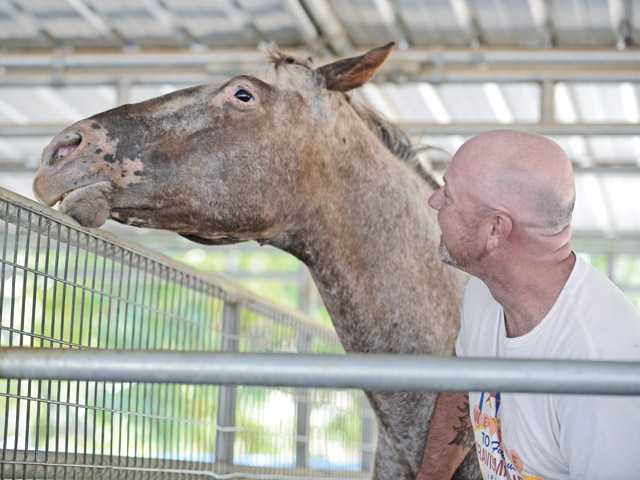 A place of healing for animals