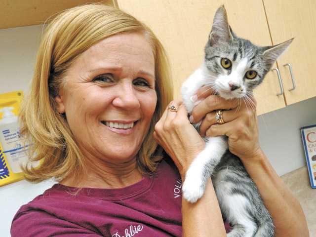 The rescuers save abandoned pets