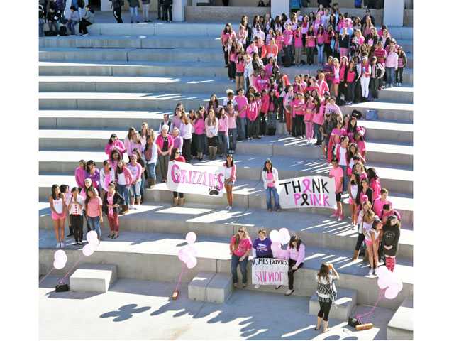 Grizzlies turn from golden to pink