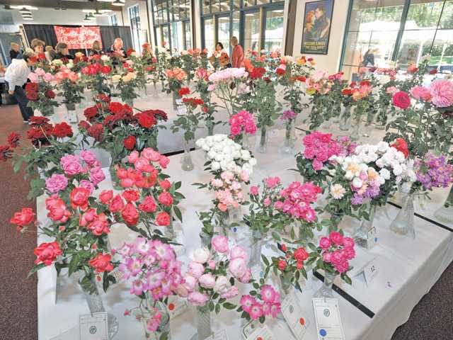 Wild West Roses at Hart Hall