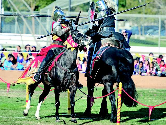 Jousting against drugs