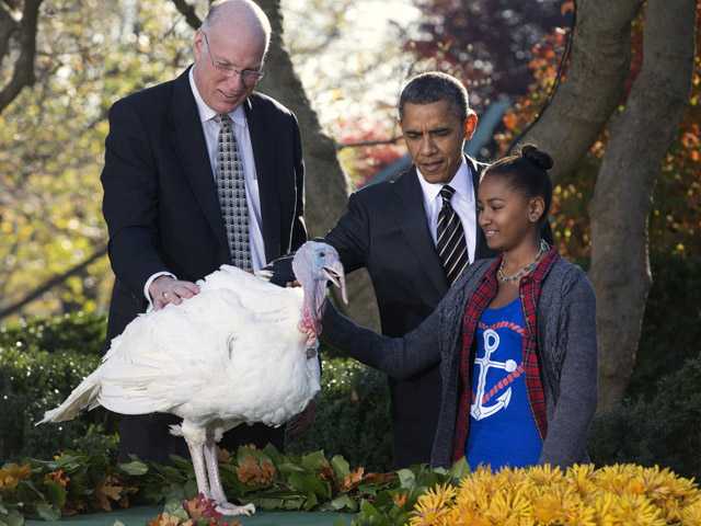 Obama pardons Thanksgiving turkey