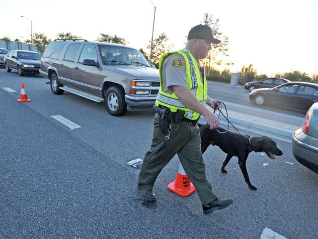 City DUI checkpoint set for Feb. 8