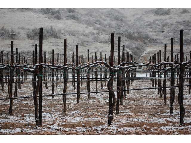 More reader photos of the recent storm