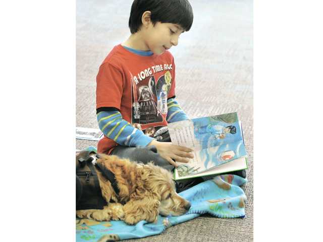 Kids read aloud to dogs to help overcome fear