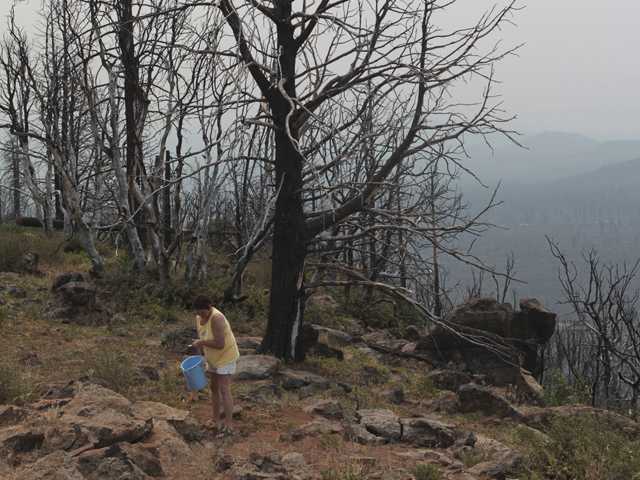 Forest Service may let more fires burn 