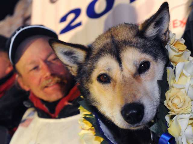 Is mushing limited by age? Only if you have 4 legs
