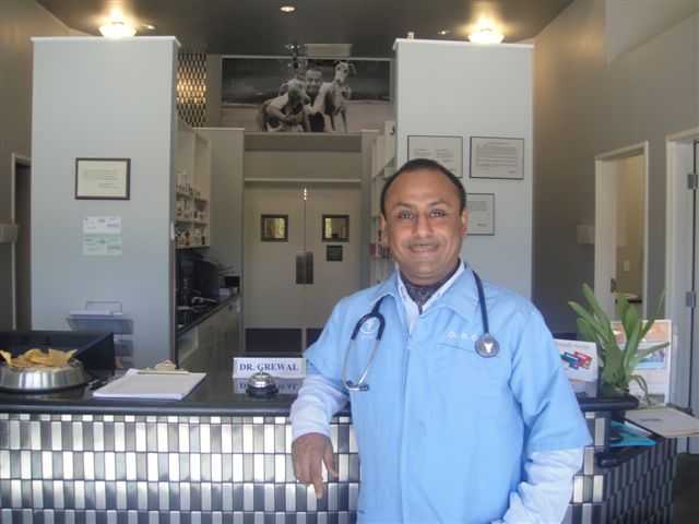 Valencia Veterinary Center receives AAHA accreditation