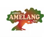 Dr. Amelang, DDS