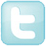 Twitter Icon