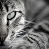 View SheilaR's Profile