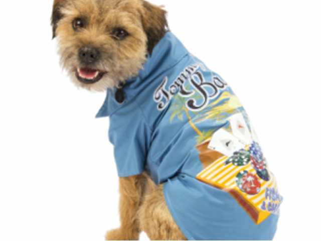 Dress your pooch for the beach