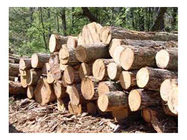 Timber value meeting set