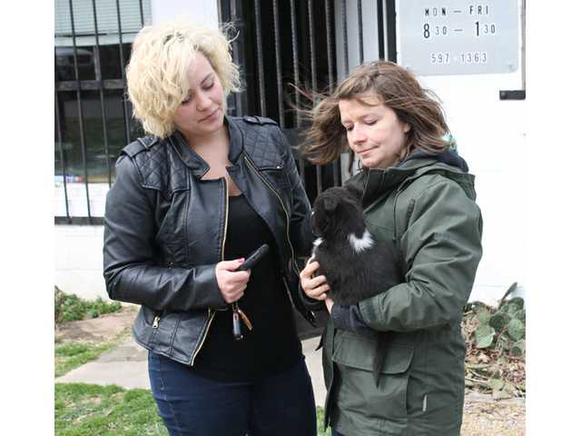 Dead animal causes concern at shelter Dead animal causes concern at shelter