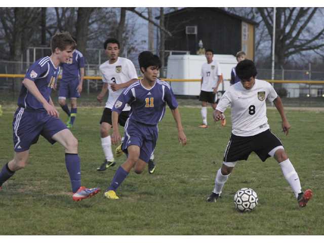 Tigers fall to Merrol Hyde Tigers fall to Merrol Hyde