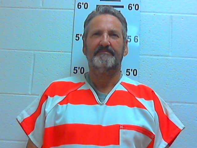 Detective finds 42 pot plants in yard Detective finds 42 pot plants in yard