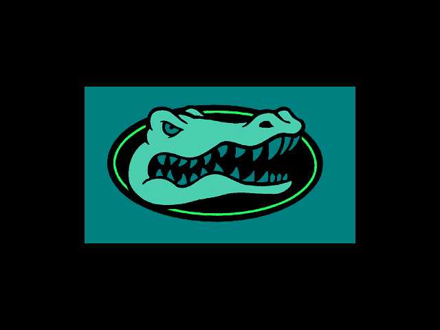 Lady Gators win cross country meet
