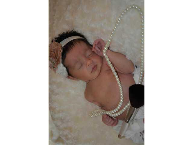 Paisley Elizabeth Mook Paisley Elizabeth Mook