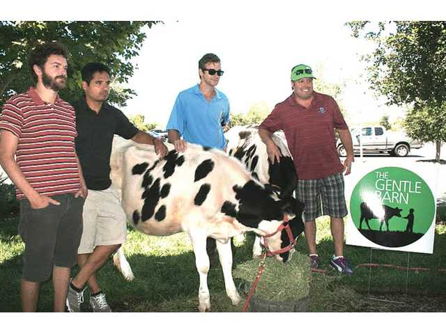 Teeing Off For The Gentle Barn