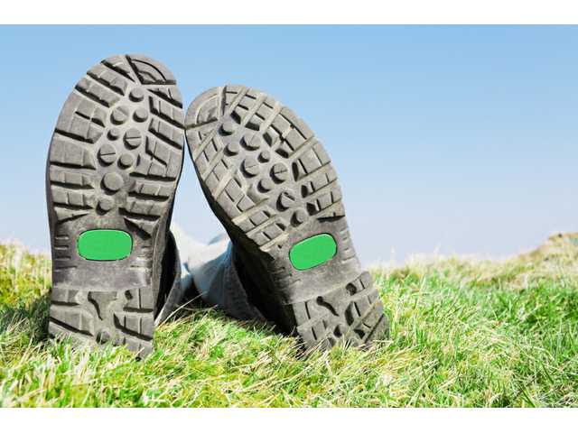 The disgusting bacteria lurking on the bottom of your shoes The disgusting bacteria lurking on the bottom of your shoes