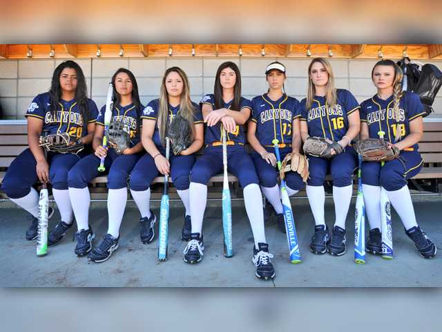 Hot college softball players Ready Hot college softball players thank for