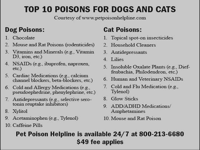 Michelle Sathe: Pet poison prevention month