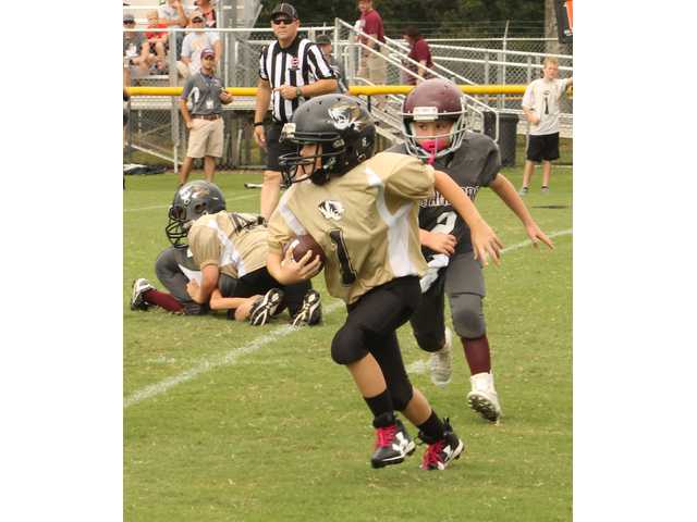 Pee-Wee, Junior Tigers, take wins over White County Pee-Wee, Junior Tigers, take wins over White County