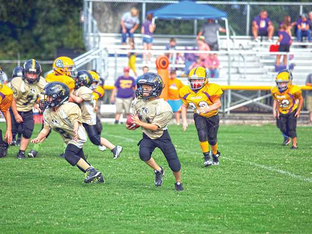 Pee Wee Tigers take game Pee Wee Tigers take game