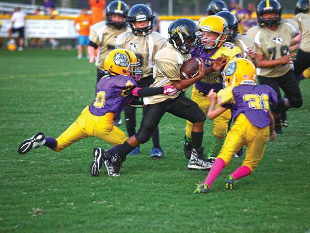 Junior Tigers win Junior Tigers win