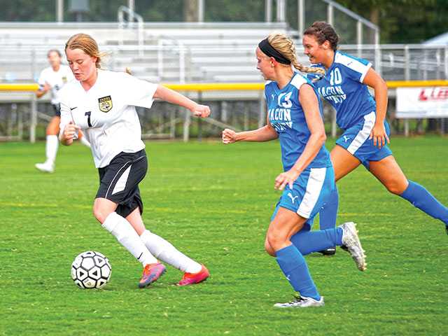 Tigerettes take down Lady Bees Tigerettes take down Lady Bees
