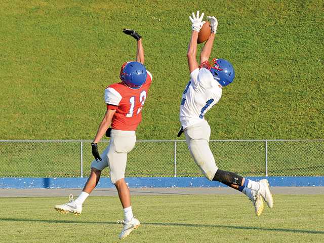 Leaping into action Leaping into action