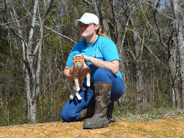 Animal Control budget approved, raises on hold Animal Control budget approved, raises on hold