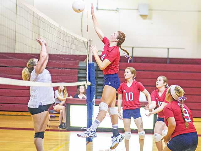 WCHS volleyball spikes Cannon WCHS volleyball spikes Cannon