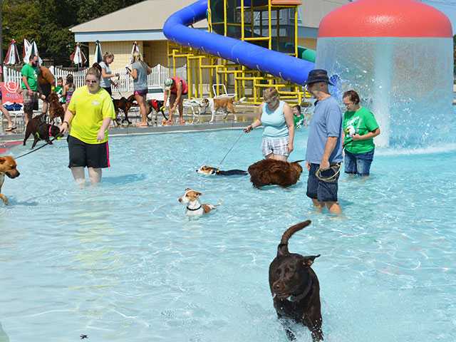 Water Paws barking good time Water Paws barking good time