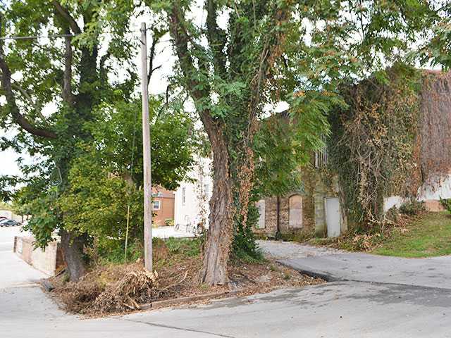 City, Myers get to root of building's problems City, Myers get to root of building's problems