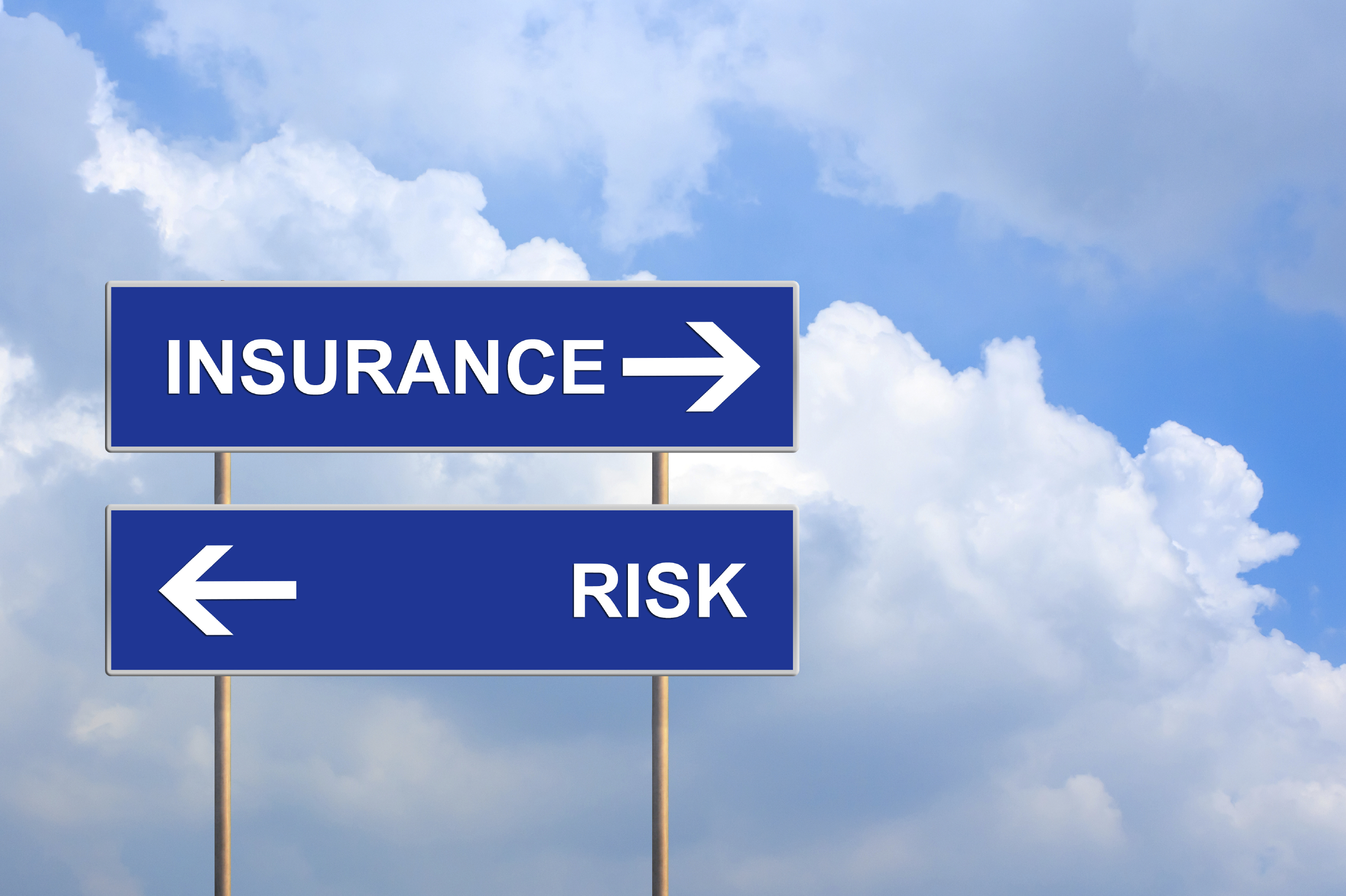 What to consider in deciding whether these types of insurance are needed What to consider in deciding whether these types of insurance are needed