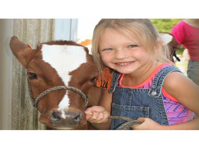 It’s that county fair time of year! It’s that county fair time of year!