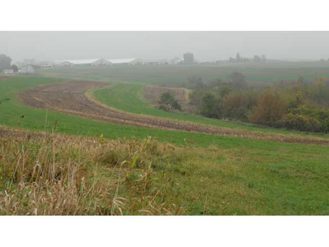 Sensitive area in Vernon County impacted by manure spill Sensitive area in Vernon County impacted by manure spill