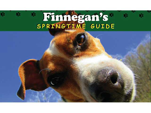 Independent columnist releases a new kid’s book in ‘Finnegan’ series Independent columnist releases a new kid’s book in ‘Finnegan’ series